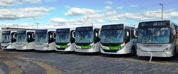 Buses-nuevos-1