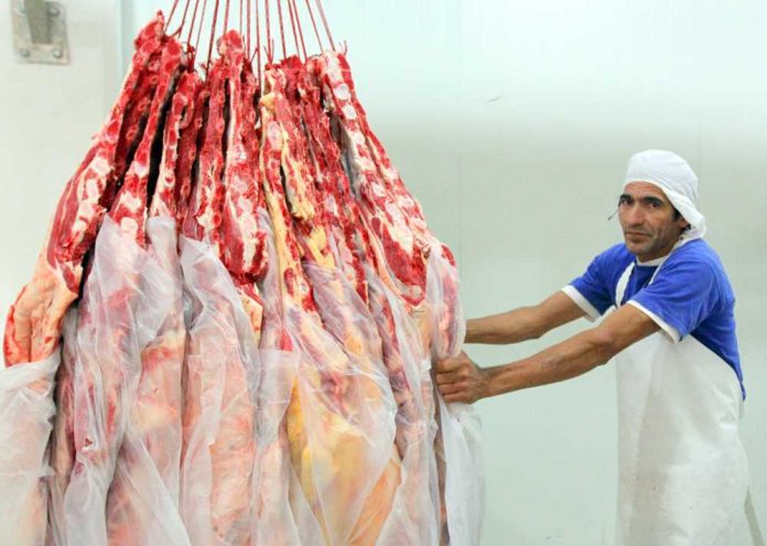 Carne-12