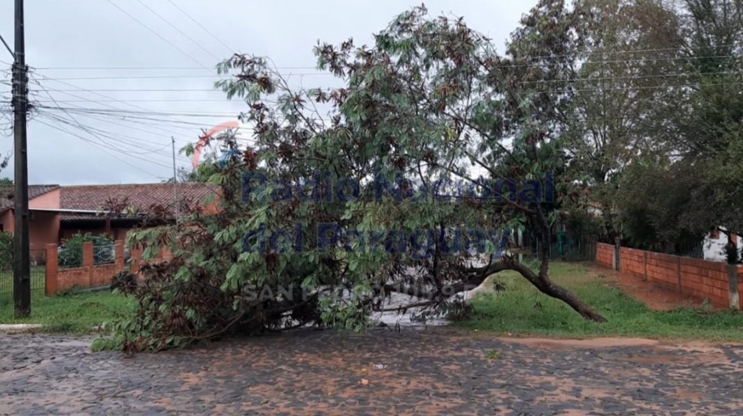 ande temporal san pedro