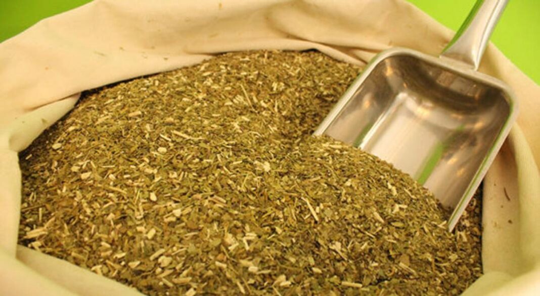 Yerba-mate-2