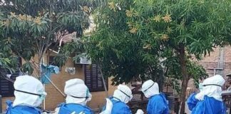 Varios distritos de Ñeembucú registran alto cantidad de casos de COVID en los últimos tiempos