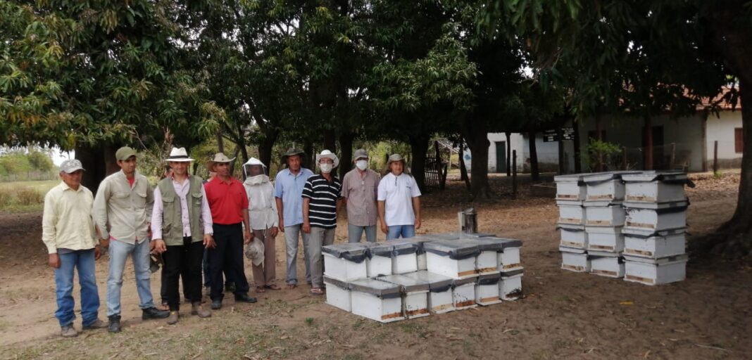 Proceso de certificación de la miel de abeja de Ñeembucú en marcha