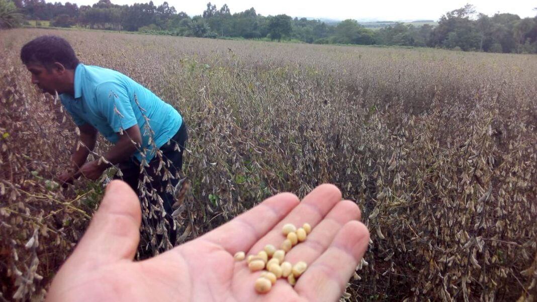 WhatsApp Image 2021-02-05 at 13.40.12