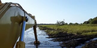 Retomarán limpieza de canales naturales en Ñeembucú