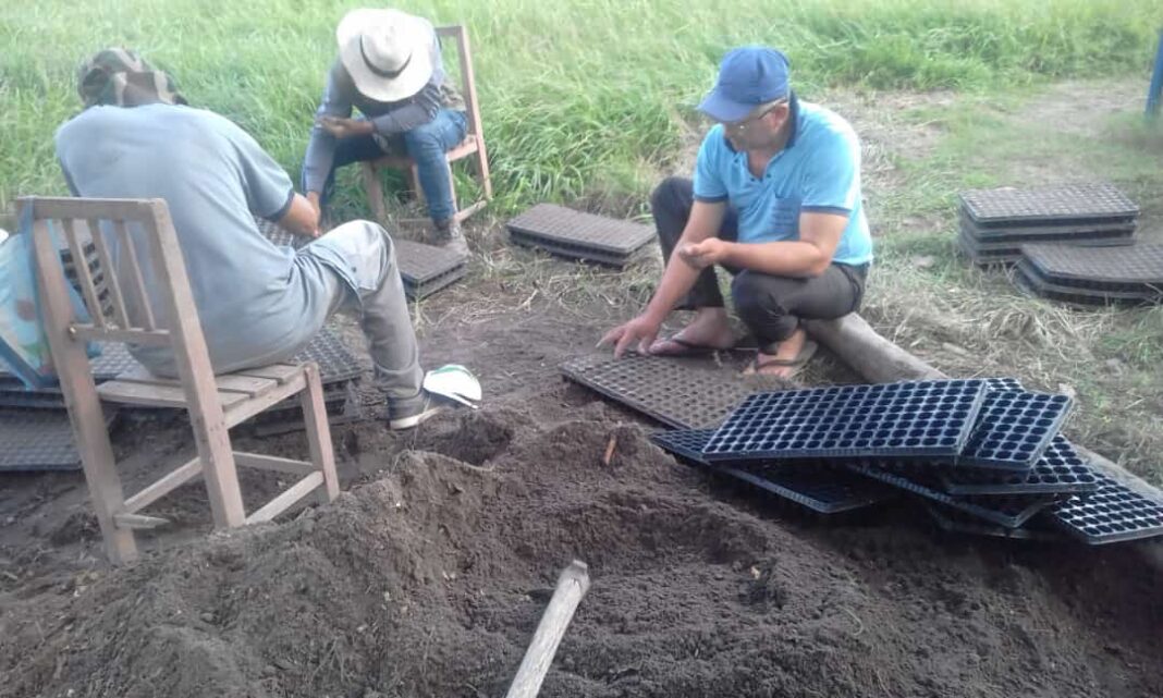 Productores horticultores fortalecen sus labores mediante apoyo de autoridades