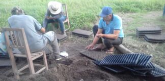 Productores horticultores fortalecen sus labores mediante apoyo de autoridades