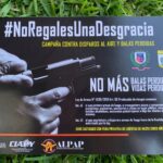 armas dimabel campaña