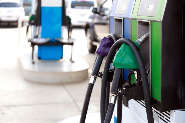 asunción municipalidad corte fallo