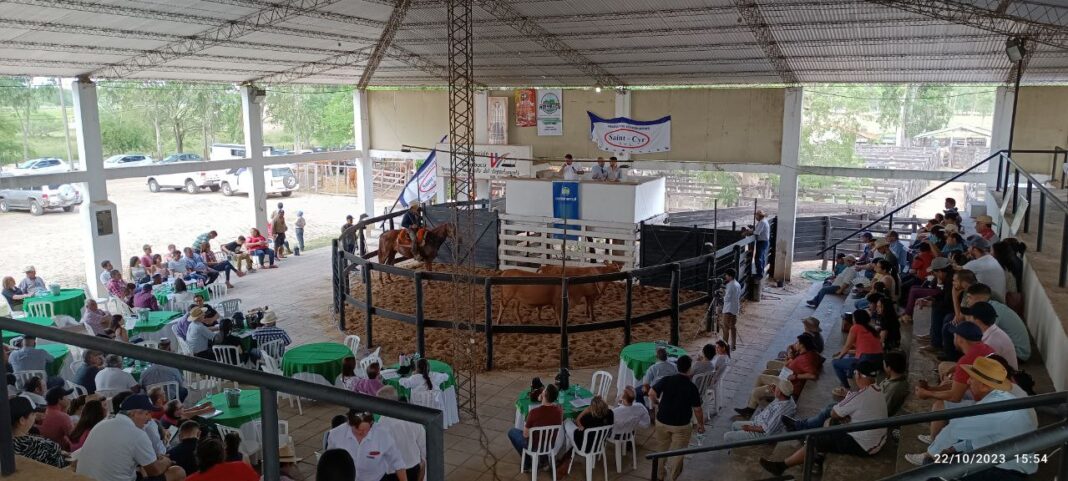 Exitosa Feria de reproductores en la Regional Ñeembucú de la ARP