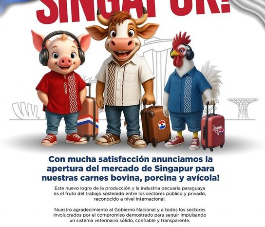 apertura carne Singapur