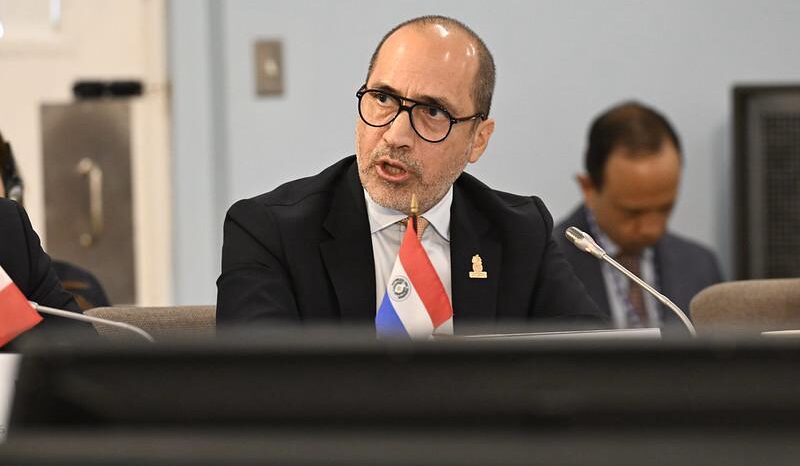 democracia defensa paraguay oea