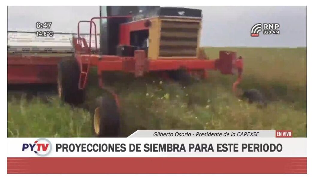 capexse proyecciones