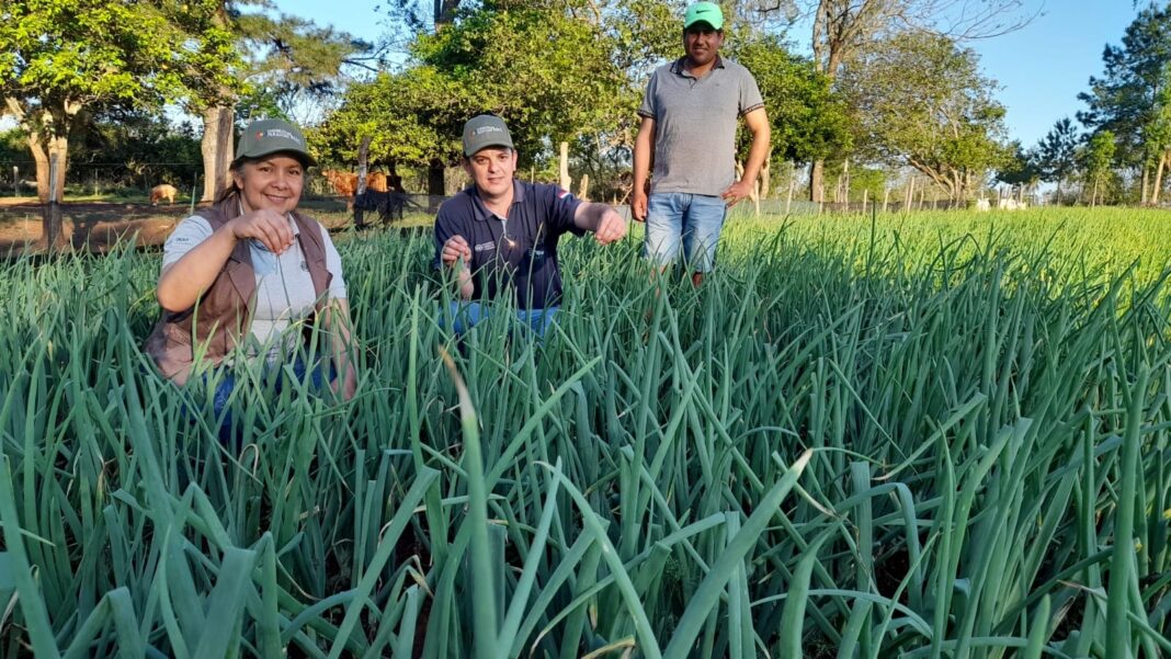 Fuente: Ministerio de Agricultura y Ganadería