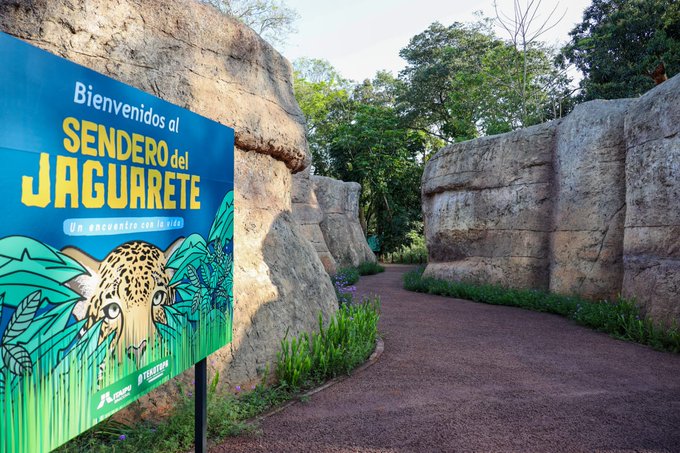 itaipu sendero del jaguarete