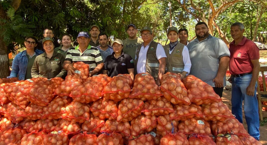 PRODUCCIÓN DE CEBOLLA