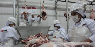 Estudio aborda niveles de competencia en mercado de carne bovina