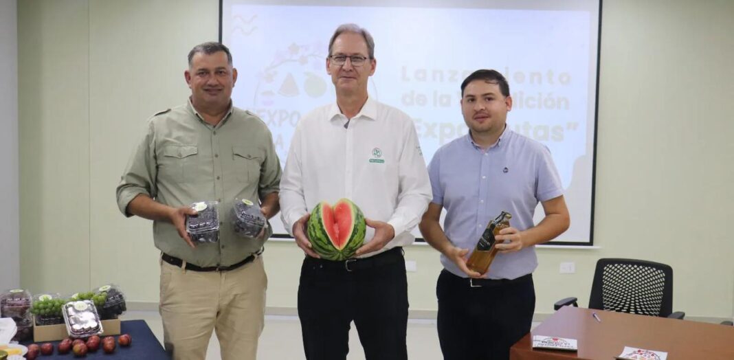 expo ferian la colmena