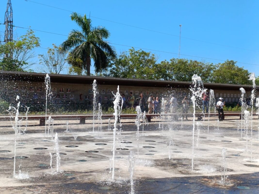 54283446701_e114220f23_o