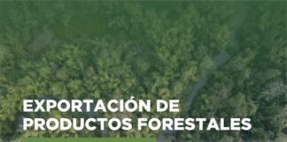 Infona reporta resultados auspiciosos en el comercio exterior de productos forestales en el 2025