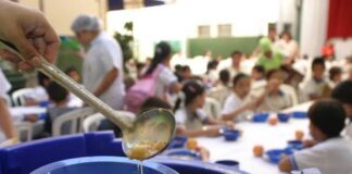 Más de 80 mil niños escolares ya reciben alimentos de Hambre Cero en San Pedro tras inicio del año lectivo