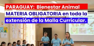 Paraguay marca un hito educativo: El Bienestar Animal se integra oficialmente a la Malla Curricular Nacional
