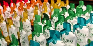 Empresa paraguaya exhibe su portafolio en Buenos Aires