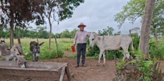 Destacan producción de leche de burra en San Pedro