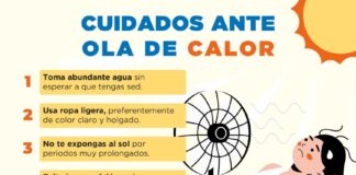 Ola de calor eleva riesgos cardiovasculares: especialistas del IPS instan a reforzar medidas de prevención