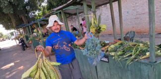Elaboración y venta de pindó para el Domingo de Ramos marca inicio de la Semana Santa