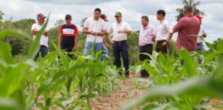 Convocan a unas 300 personas para realizar encuestas agropecuarias en el país