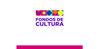 Convocatoria 2026 Fondos de Cultura: Destacan proyectos seleccionados cuyas iniciativas impulsan creación artística