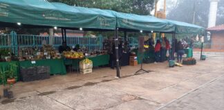 Feria de la Agricultura Familiar en San Lorenzo beneficia a unas 70 familias de Central