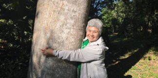 Con taller de poda urbana buscan crear conciencia sobre protección de árboles en Asunción