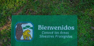 “Bienvenidos” campaña que invita a conocer las Áreas Silvestres Protegidas del Paraguay