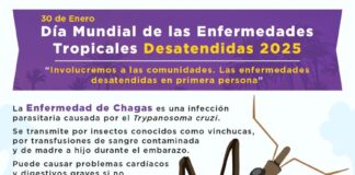 Día Mundial de la Enfermedad del Mal de Chagas: Salud Pública insiste en la prevención