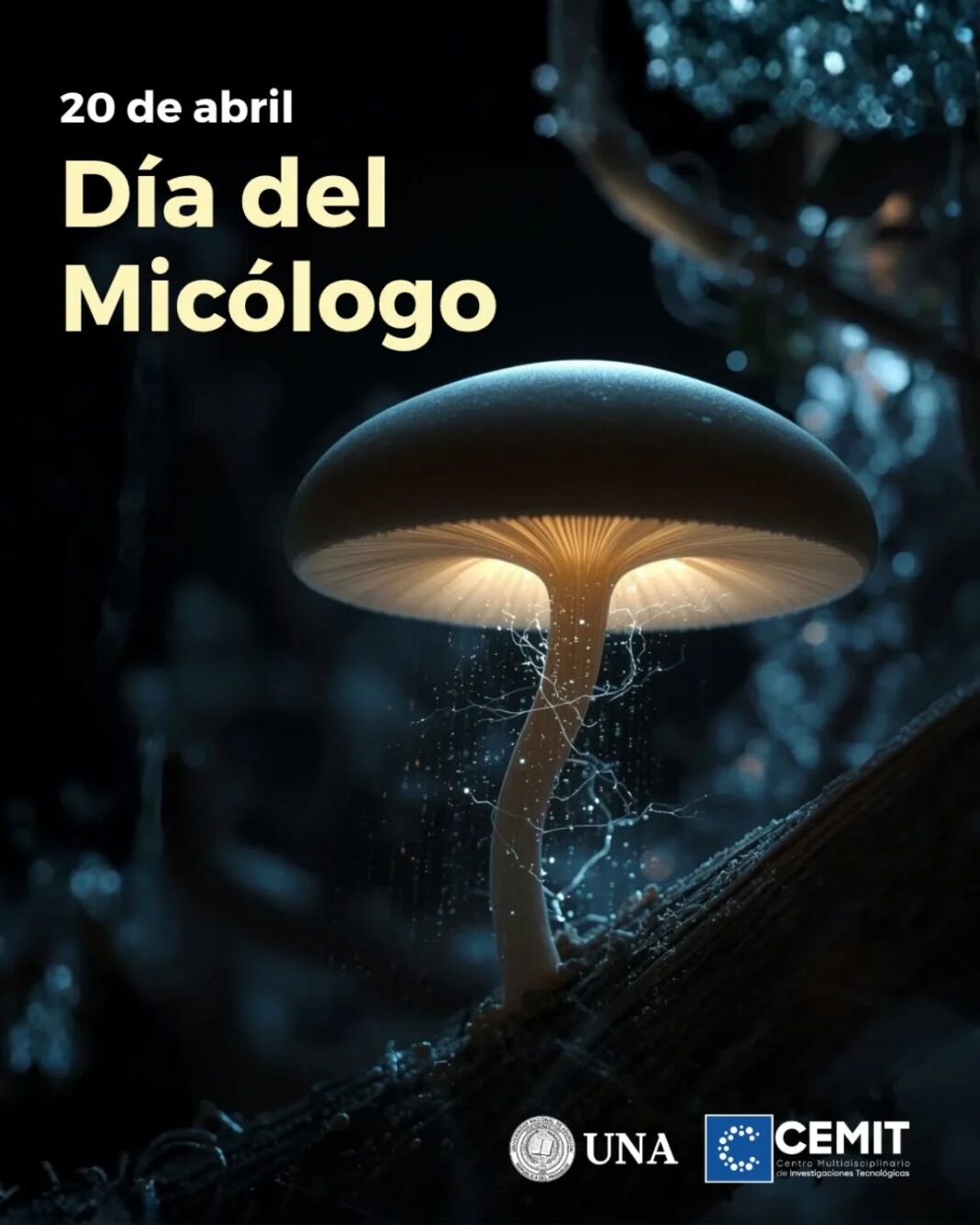 Día del Micólogo: Destacan tarea investigativa en Paraguay