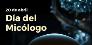 Día del Micólogo: Destacan tarea investigativa en Paraguay