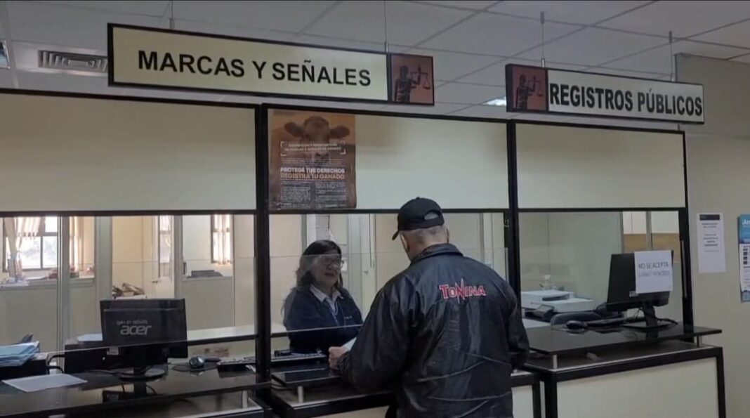Impulsan jornadas de visitas en varias localidades de San Pedro para facilitar trámites de Marcas y Señales de ganado