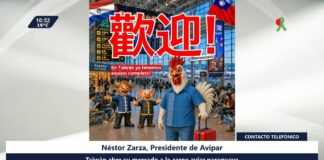 Sector avícola proyecta ampliar producción ante anuncio de apertura del mercado en la República de China (Taiwán)