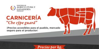 MAG presenta segunda edición de ofertas en carnes vacunas con miras al día de la madre