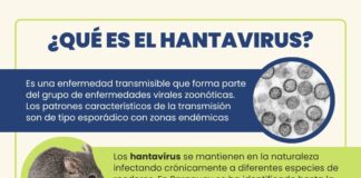 Exhortan a la proteger la casa contra roedores ante casos de Hantavirus