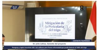 Paraguay y Japón invertirán US$ 1,85 millones para frenar enfermedad que puede destruir el 100% del trigo