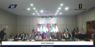 LVIII Reunión de Ministros de Salud del MERCOSUR y Estados Asociados: Paraguay asume Presidencia Protempore