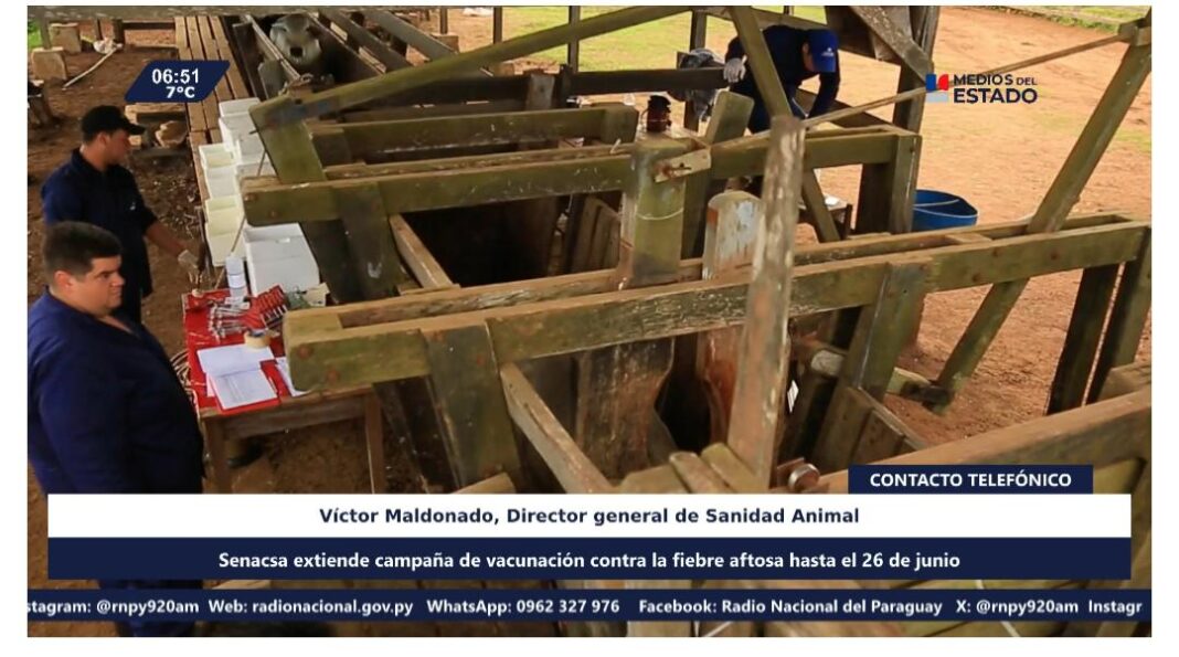 senacsa vacunación