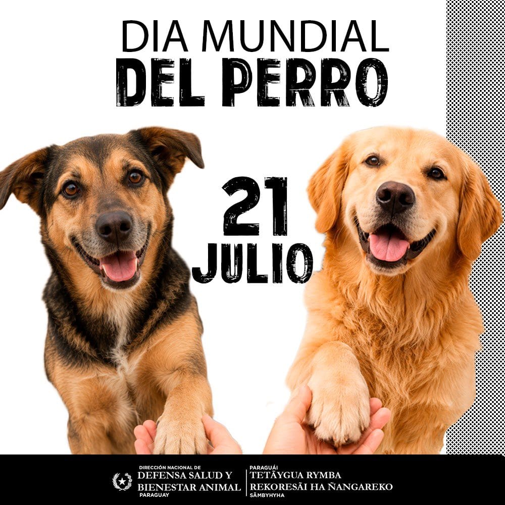 6ffaeb3e-8507-4e71-91a6-38f2a272d91e