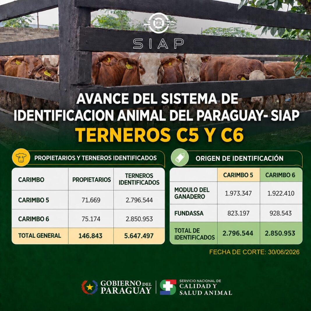 avances sistema senacsa