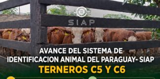 Senacsa destaca informe sobre exportaciones de carne al cierre de junio