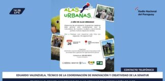 Invitan a celebrar primer aniversario de Alas Urbanas con observación de aves